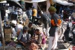 06 Jodpur Mix (194)